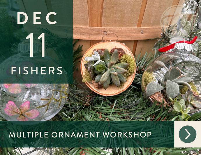 2025 Multi-Ornament Workshop