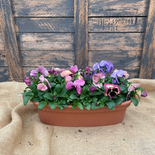 Load image into Gallery viewer, Pansy Bowl