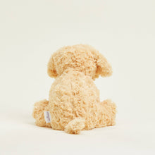 Load image into Gallery viewer, Fluffy golden teddy bear plush toy with care tag sitting against cream background