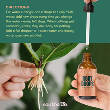 Load image into Gallery viewer, Hands holding plant cutting with roots and Root Drops bottle with dropper dispensing liquid