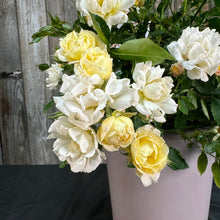 Load image into Gallery viewer, Rose Drift Popcorn