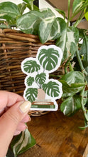 Load image into Gallery viewer, Hand holding white Monstera book stack sticker against wicker basket with green houseplants