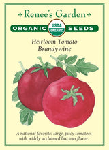 Load image into Gallery viewer, Seeds-Vegetable
