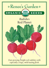Load image into Gallery viewer, Seeds-Vegetable