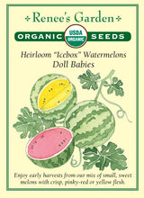 Load image into Gallery viewer, Seeds-Vegetable