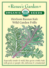 Load image into Gallery viewer, Seeds-Vegetable