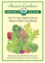 Load image into Gallery viewer, Seeds-Vegetable