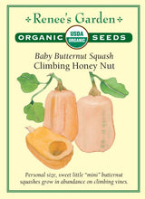 Load image into Gallery viewer, Seeds-Vegetable