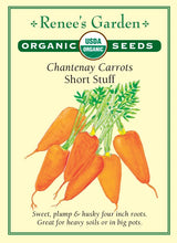 Load image into Gallery viewer, Seeds-Vegetable