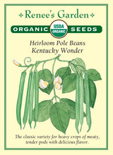 Load image into Gallery viewer, Seeds-Vegetable