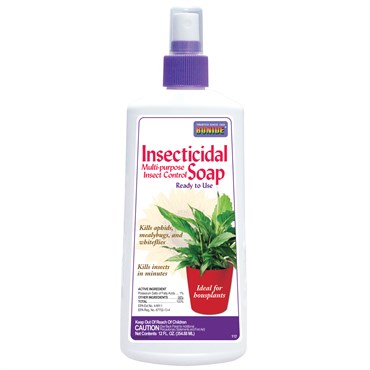 Bonide Houseplant Insecticidal Soap