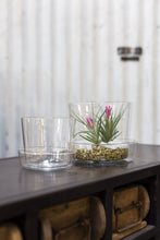 Load image into Gallery viewer, Clear double-walled glass pot with saucer displayed with blooming air plant and gold gravel
