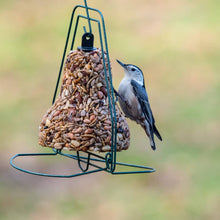 Load image into Gallery viewer, Bugs, Nuts &amp; Fruit - Bell