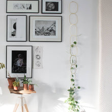 Load image into Gallery viewer, Climbing Plant Support