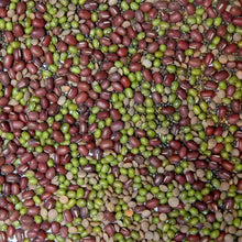 Load image into Gallery viewer, Mixed organic sprouting seeds showing red adzuki beans and green mung beans for growing microgreens