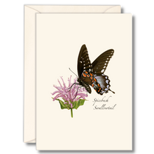 Load image into Gallery viewer, Elegant greeting card featuring Spicebush Swallowtail butterfly on purple wildflower with matching envelope