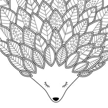 Load image into Gallery viewer, Pretty Simple Coloring: Nature Scenes by Adams Media: Paperback; 96 pages / English