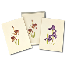 Load image into Gallery viewer, Three botanical greeting cards featuring watercolor iris flowers in burgundy and purple hues