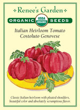 Load image into Gallery viewer, Seeds-Vegetable