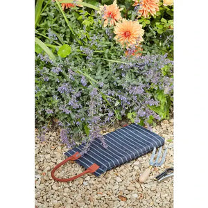 SC Kneeler