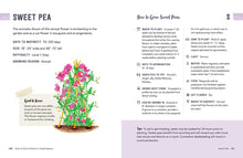 Load image into Gallery viewer, Sweet pea growing guide page showing planting instructions and pink flowering vine illustration