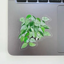 Load image into Gallery viewer, Marble Queen Pothos plant sticker with variegated green and white leaves on laptop
