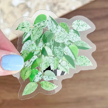 Load image into Gallery viewer, Hand holding decorative sticker featuring green and white variegated Marble Queen Pothos plant