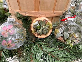 Multi-Ornament Workshop