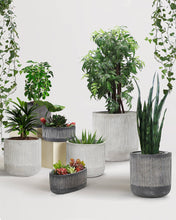 Load image into Gallery viewer, Ceramic Bamboo Ridged Planter - Black