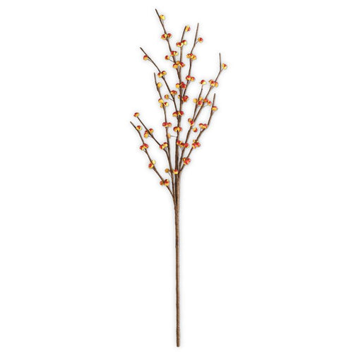 31.5 Inch Bittersweet Stem