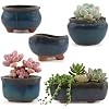 Load image into Gallery viewer, Five teal and blue glazed ceramic succulent pots in various shapes and sizes