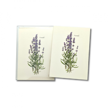 Load image into Gallery viewer, Two botanical illustration cards featuring pressed lavender flowers with purple blooms and green stems