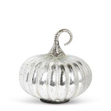 Load image into Gallery viewer, Mercury Glass Pumpkins w/Silver Met