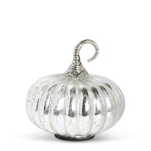 Mercury Glass Pumpkins w/Silver Met