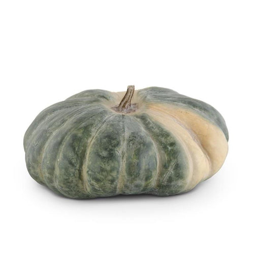 13 Inch Green & Cream Resin Lumpy Pumpkin