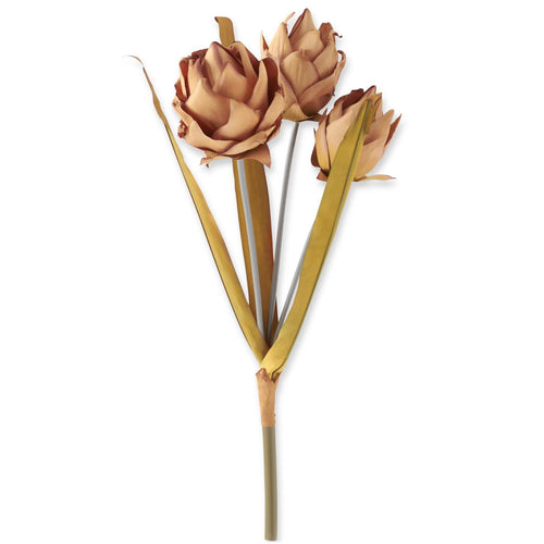 25 Inch 3 Head Dark Beige Musella Stem