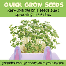 Load image into Gallery viewer, Chia seed sprouting kit with green microgreens growing from purple cat-shaped planter