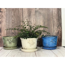 Load image into Gallery viewer, Nature Pot