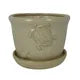 Load image into Gallery viewer, Nature Pot