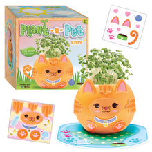 Load image into Gallery viewer, Plant a Pet Kitty grow kit with orange cat planter, chia sprouts, stickers and packaging