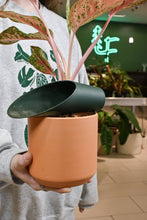 Load image into Gallery viewer, Dark green curved soil scoop tool held in hand inside plant nursery store