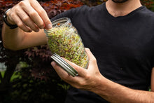 Load image into Gallery viewer, Person holding glass mason jar filled with fresh green sprouts and metal sprouting lid