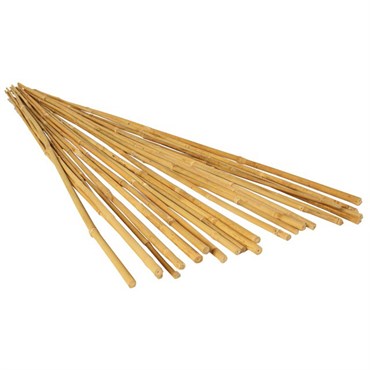 Bamboo Supply Natural Bamboo Stake - 6ft - 15-17mm