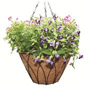 Load image into Gallery viewer, Austram® Lotus Hanging Basket with Chain
