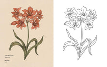Load image into Gallery viewer, Floriography Coloring Book by Jessica Roux: Paperback; 96 pages / English