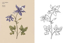 Load image into Gallery viewer, Floriography Coloring Book by Jessica Roux: Paperback; 96 pages / English
