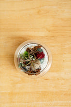 Load image into Gallery viewer, New* Airplant Terrarium Kit : Globe