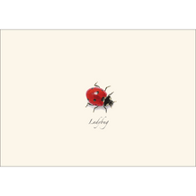 Load image into Gallery viewer, Elegant notecard featuring realistic ladybug illustration with black spots on cream background