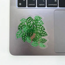 Load image into Gallery viewer, Green Swiss cheese plant sticker with perforated leaves on silver laptop