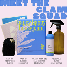 Load image into Gallery viewer, Happy Happy Houseplant Leaf Cleanse starter kit with microfiber gloves, dishcloths, neem oil concentrate, and spray bottle